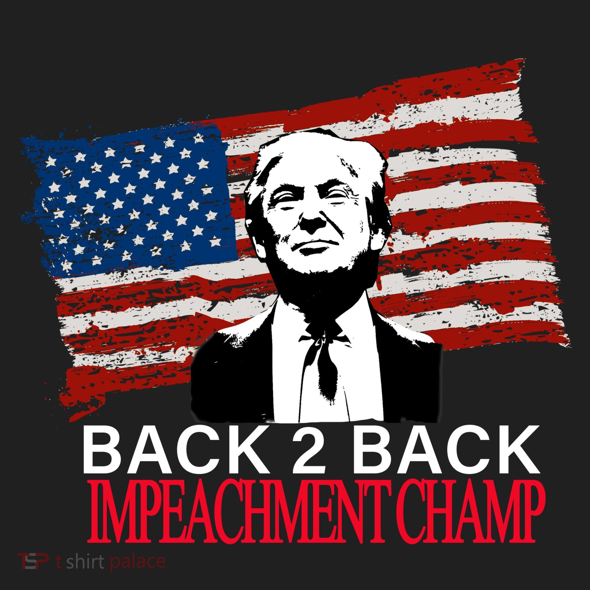 Back 2 Back Impeachment Champ Hat