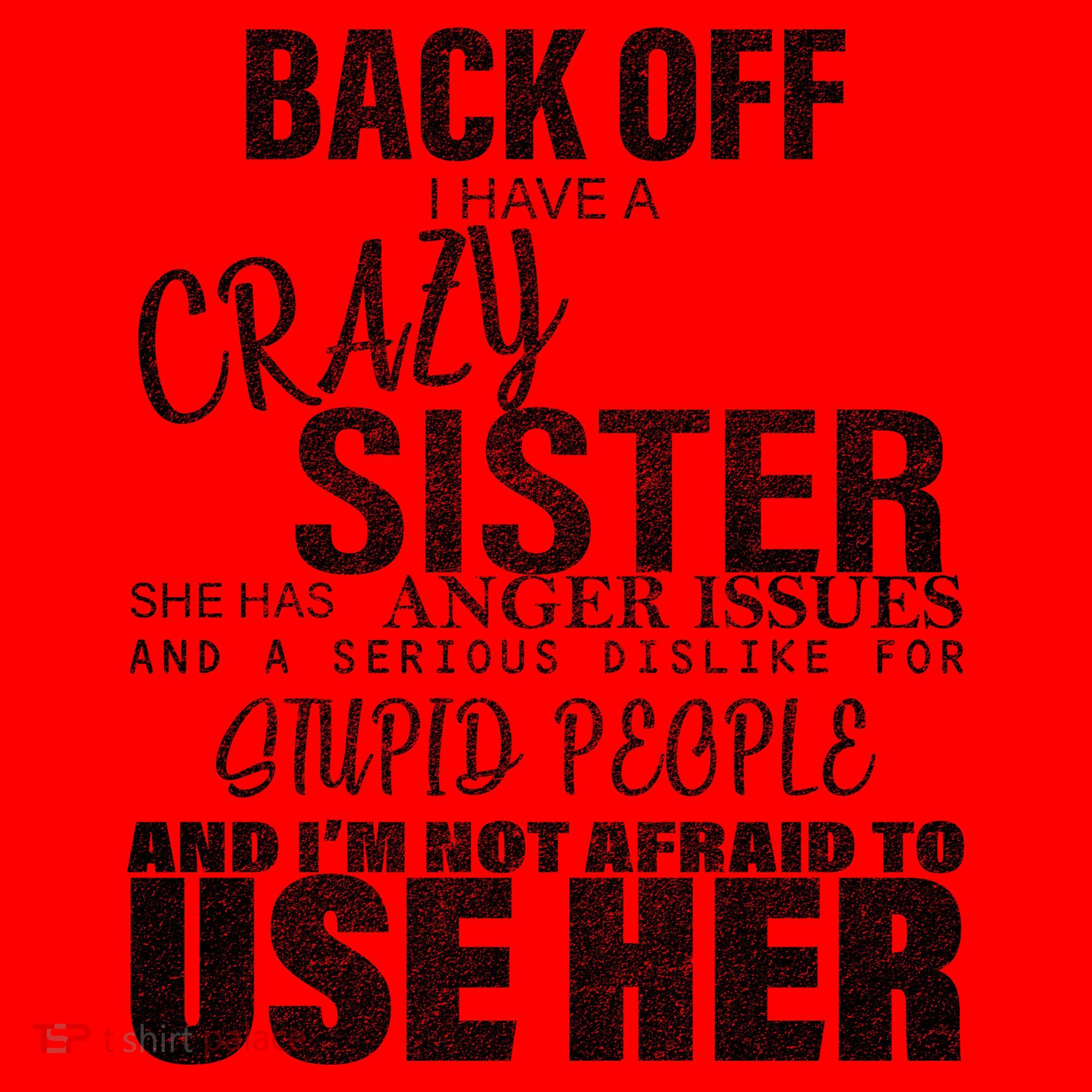 Back Off I Have A Crazy Sister Funny Santa Hat