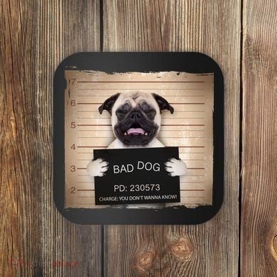 Bad Dog Funny Pug Prison Mug Shot Coaster
