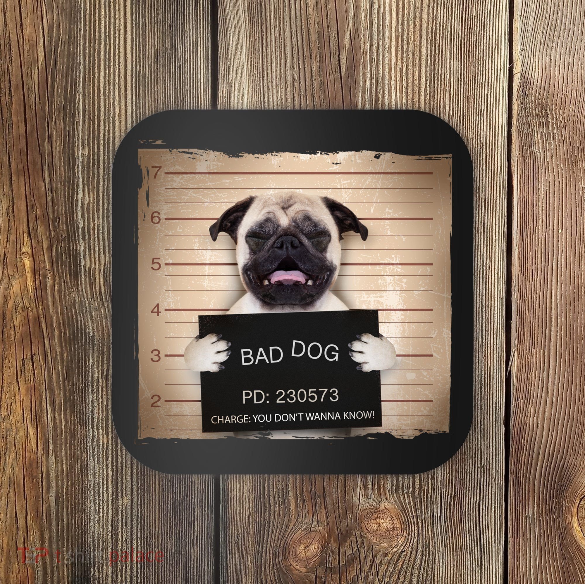 Bad Dog Funny Pug Prison Mug Shot Coaster