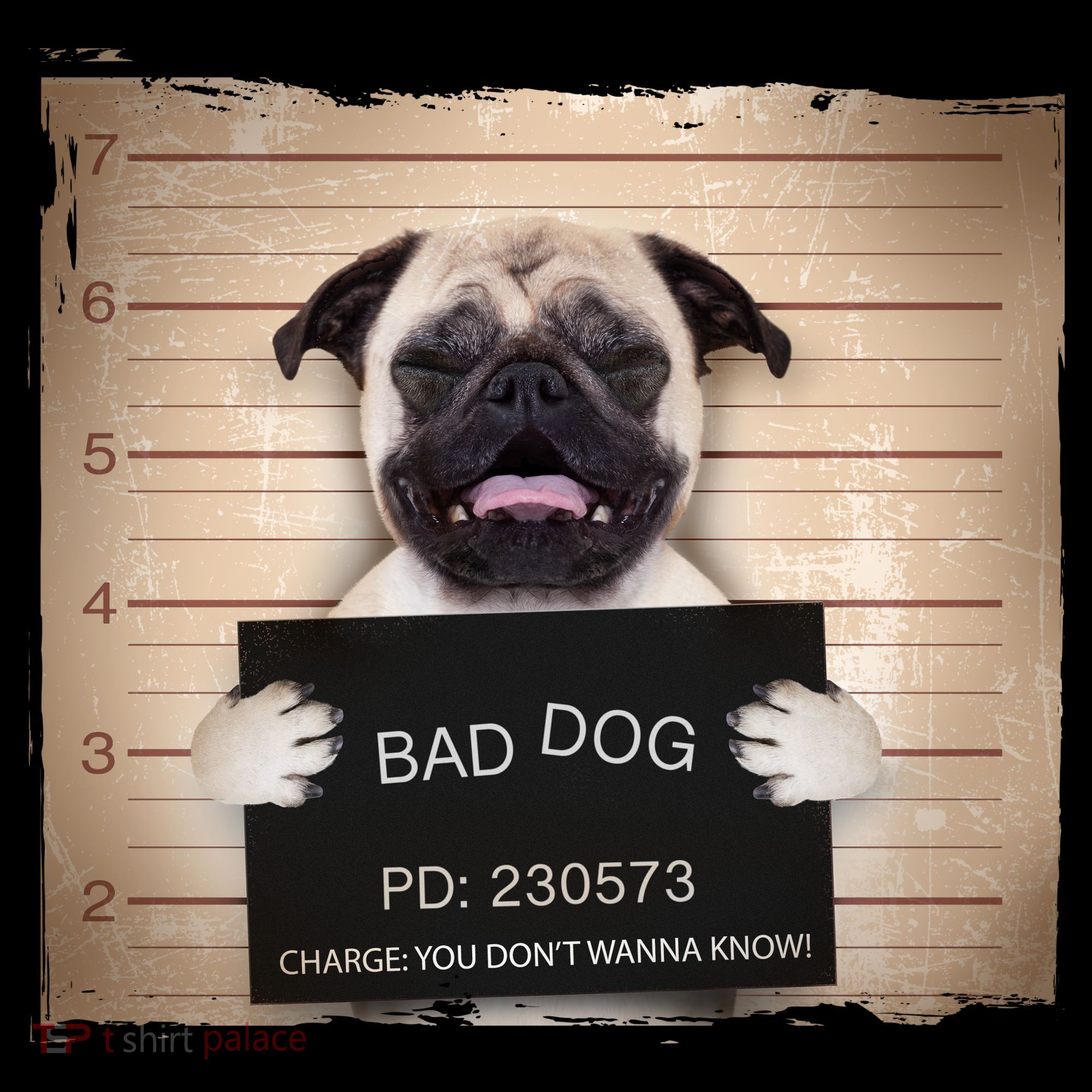 Bad Dog Funny Pug Prison Mug Shot Toddler Hoodie