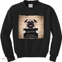 Bad Dog Funny Pug Prison Mug Shot Kids Sweatshirt thumb 0