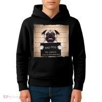 Bad Dog Funny Pug Prison Mug Shot Kids Hoodie thumb 4