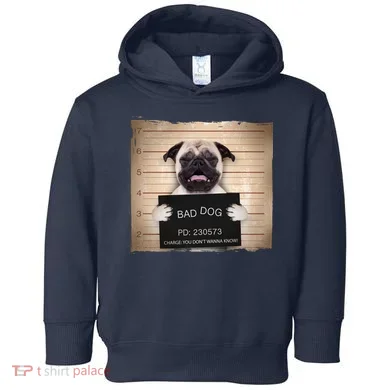 Toddler Hoodie