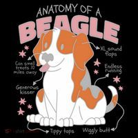 Beagle Anatomy Dog Ornament thumb 1