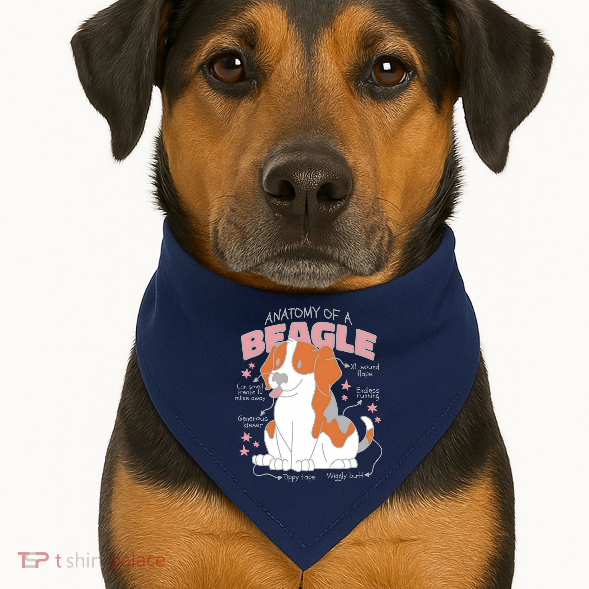 Beagle Anatomy Dog USA-Made Doggie Bandana