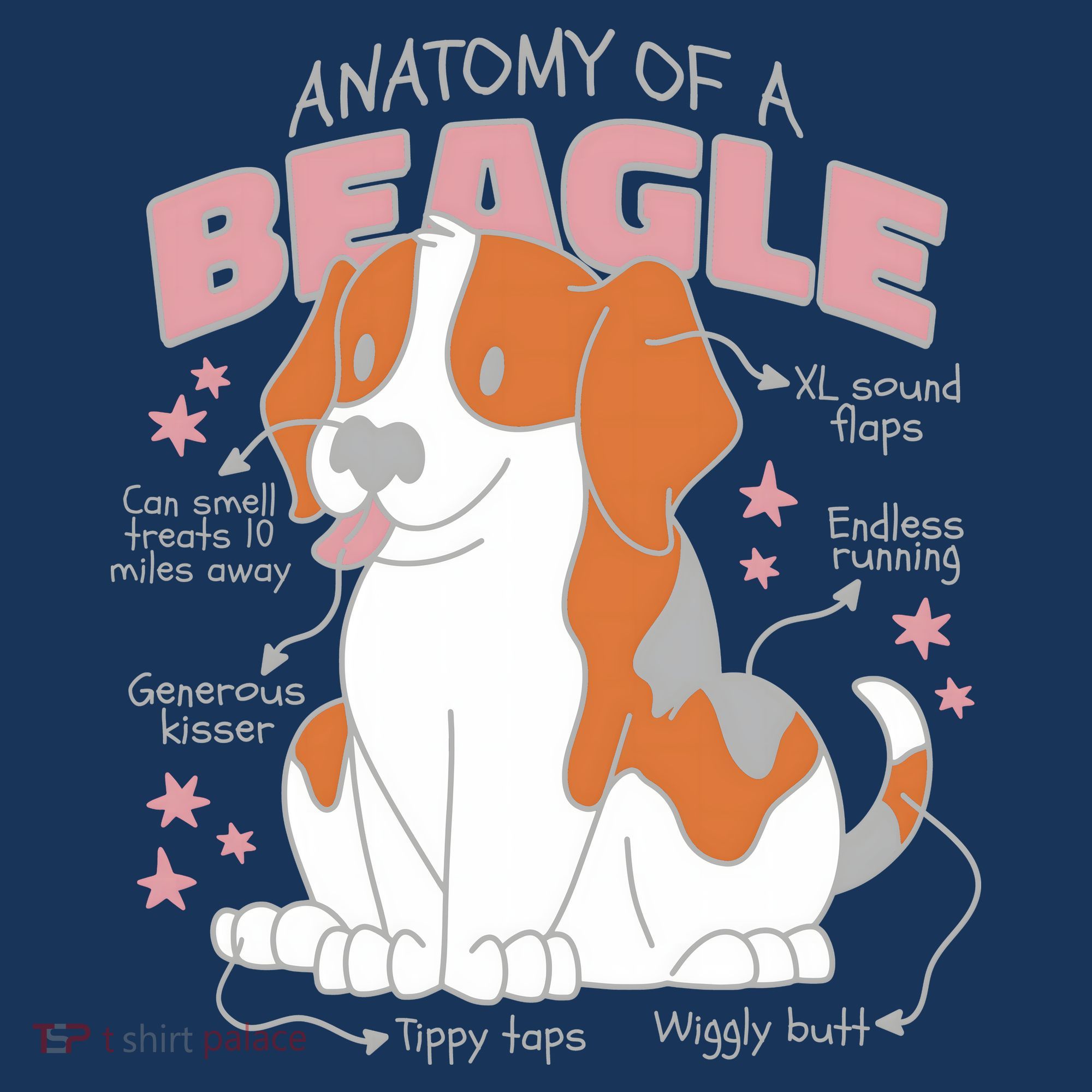 Beagle Anatomy Dog Women's T-Shirt