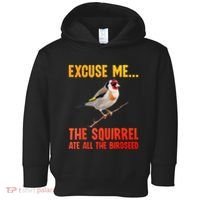 Bird Art For Women Bird Watching Birding Birdwatcher Toddler Hoodie thumb 0