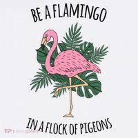 Be A Flamingo In A Flock Of Pigeons T-Shirt thumb 7