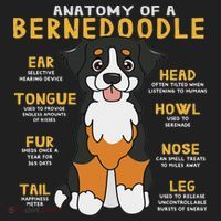 Bernedoodle Anatomy Funny Dog Mom Dad Cute Gift Hat thumb 2