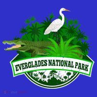 Bird And Florida Alligator Of Everglades National Park Coaster thumb 2