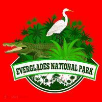 Bird And Florida Alligator Of Everglades National Park Santa Hat thumb 1