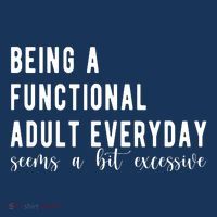 Being A Functional Adult Everyday Seems A Bit Excessive Funny Women's Hoodie thumb 2