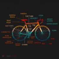 Bicycle Anatomy Funny Cycling Cute Biking Biker Toddler Hoodie thumb 2