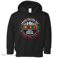 Black American Freedom Juneteenth Graphics Plus Size Shirts For Men Women Family Toddler Hoodie thumb 0