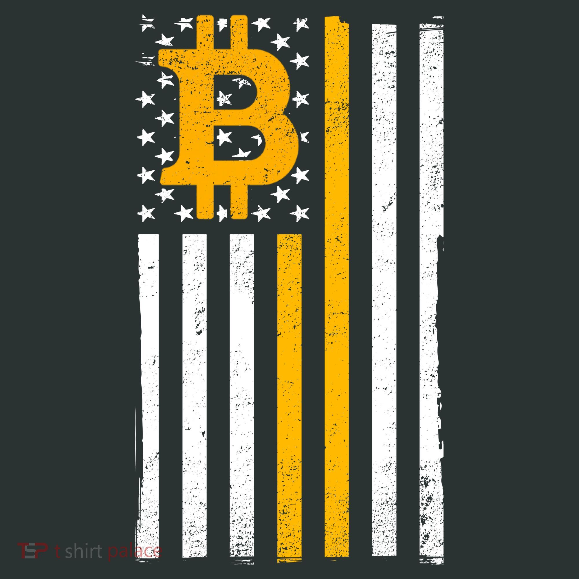 Bitcoin American Flag Crypto Kids Hoodie