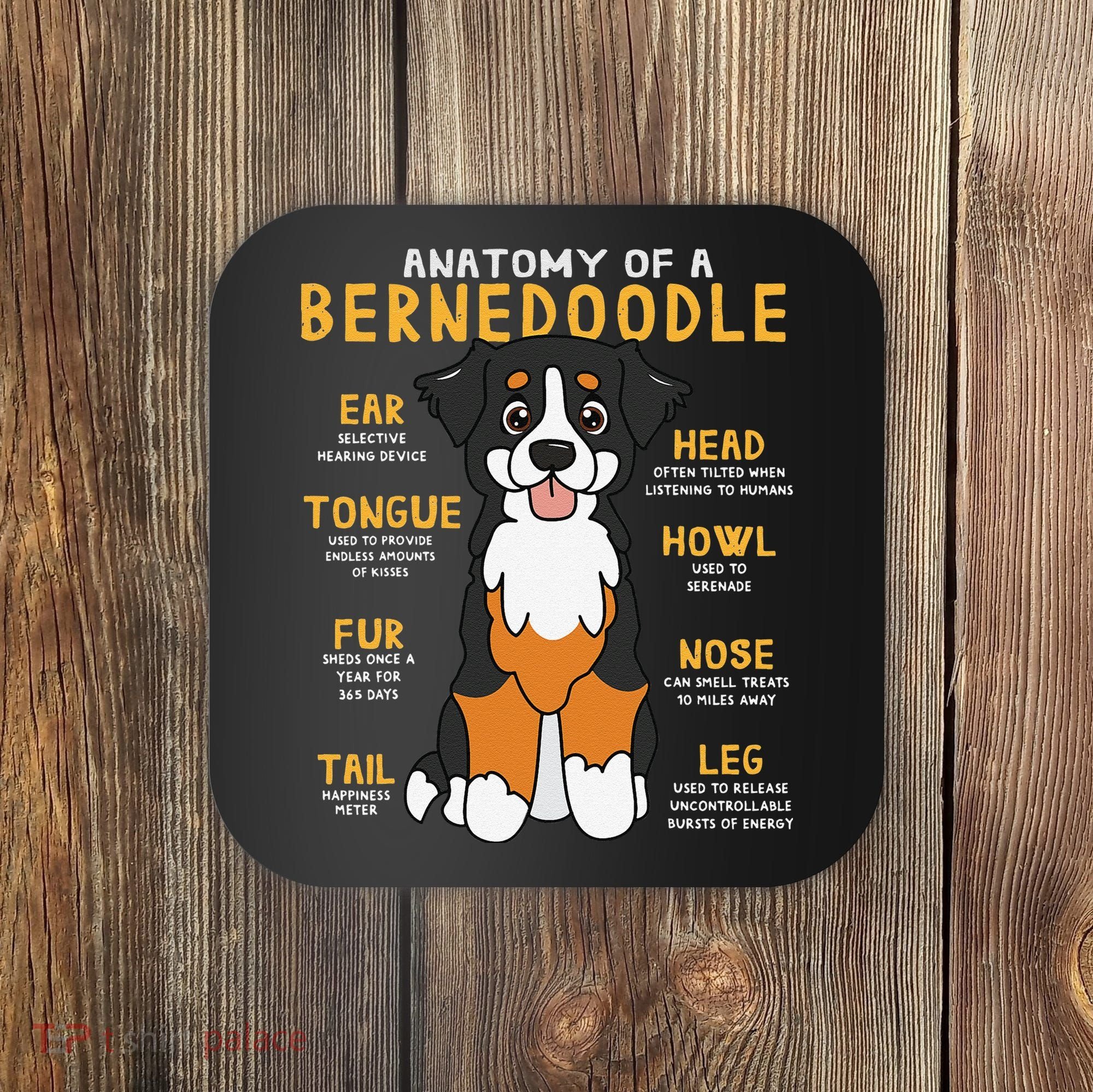 Bernedoodle Anatomy Funny Dog Mom Dad Cute Gift Coaster