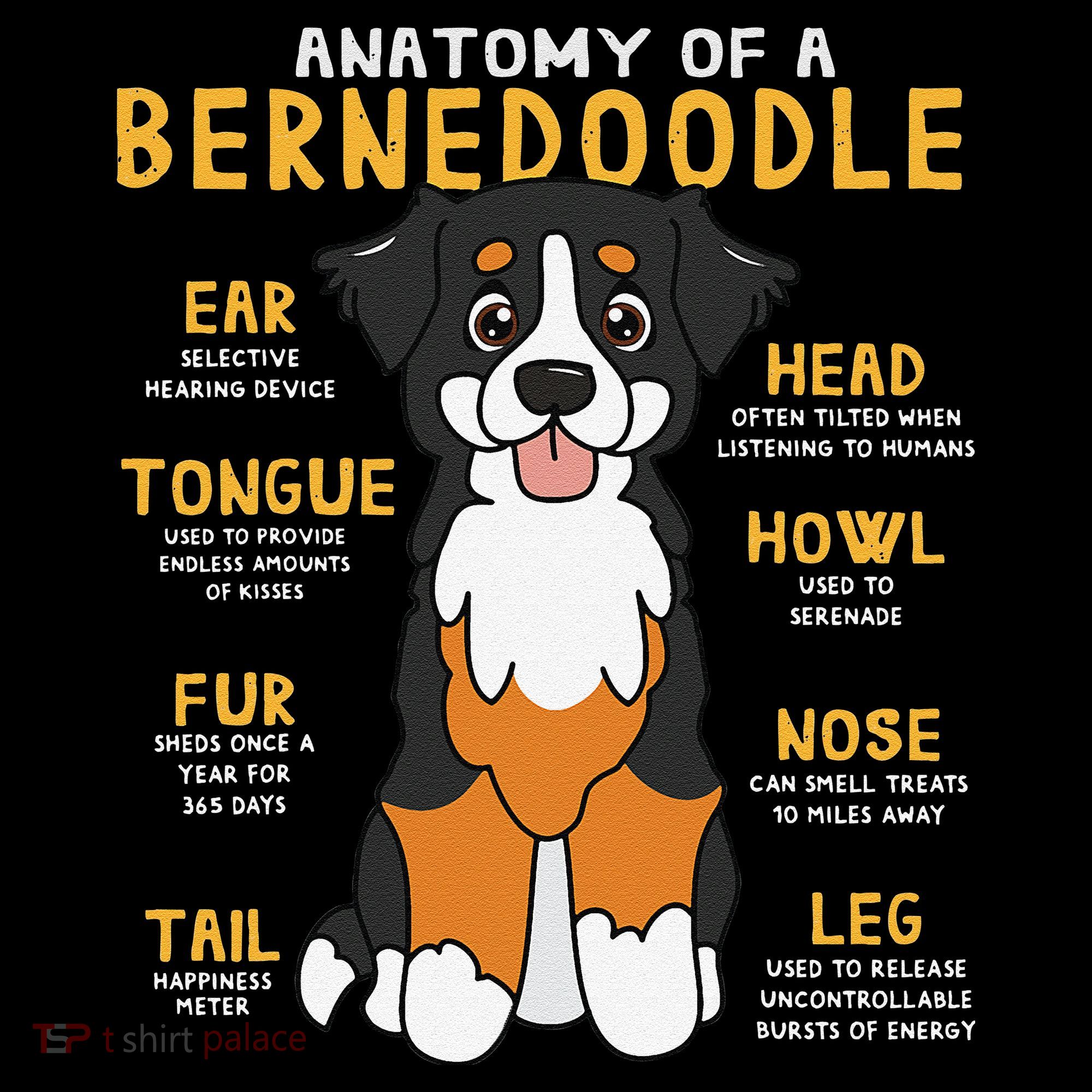 Bernedoodle Anatomy Funny Dog Mom Dad Cute Gift Women's Hoodie