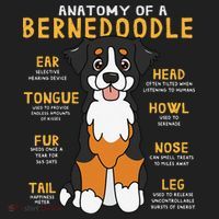 Bernedoodle Anatomy Funny Dog Mom Dad Cute Gift Tumbler thumb 3