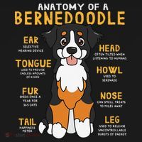 Bernedoodle Anatomy Funny Dog Mom Dad Cute Gift Visor thumb 3