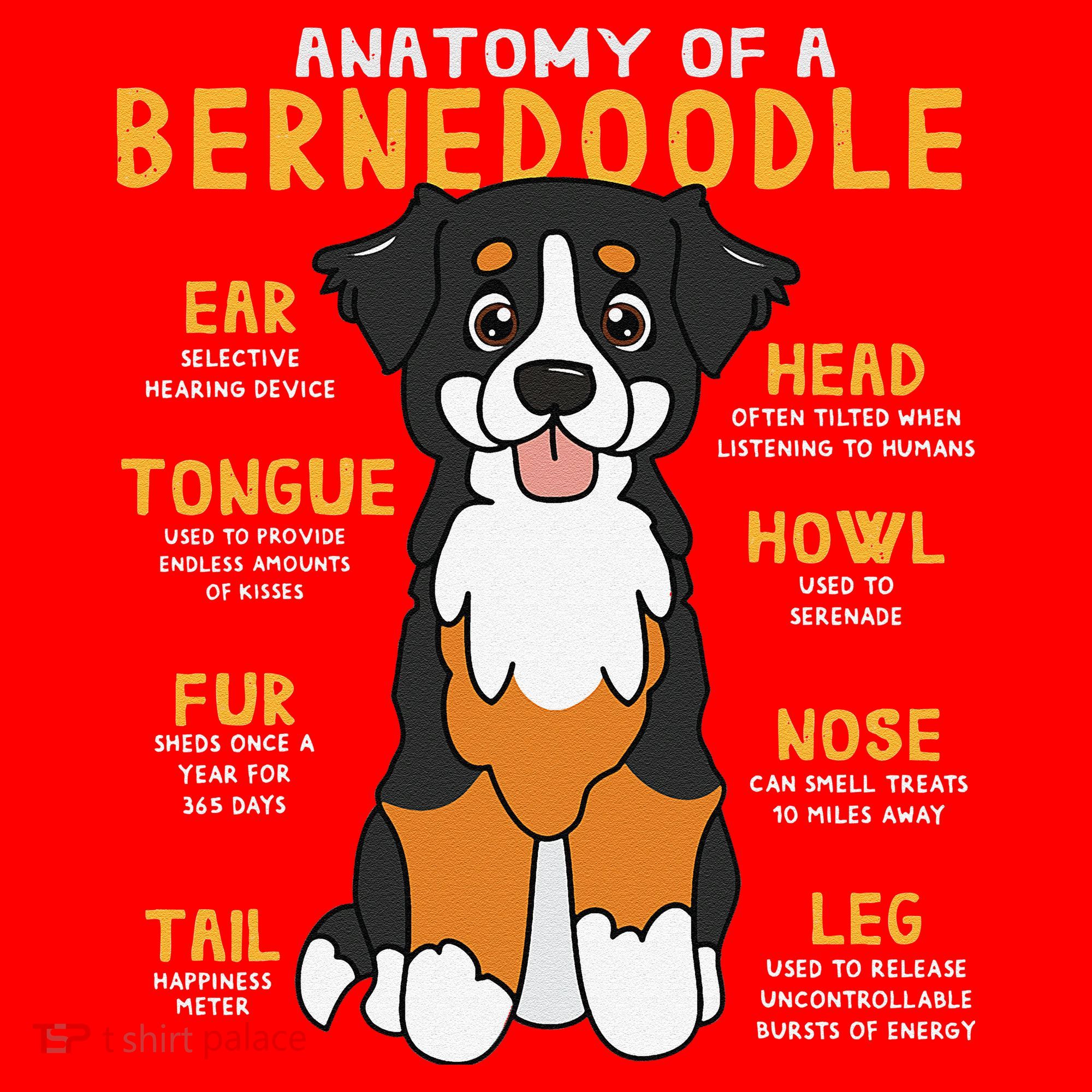 Bernedoodle Anatomy Funny Dog Mom Dad Cute Gift Santa Hat