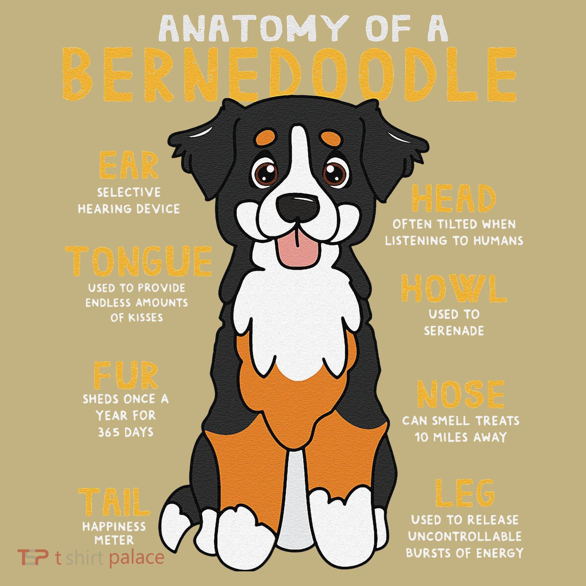Bernedoodle Anatomy Funny Dog Mom Dad Cute Gift Long Sleeve Shirt