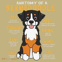 Bernedoodle Anatomy Funny Dog Mom Dad Cute Gift Mousepad thumb 1
