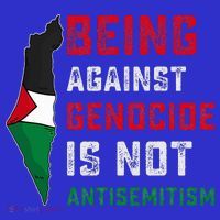 Being Against Genocide Is Not Antisemitism Support Palestine Kids Hoodie thumb 5