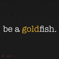 Be A Goldfish Goldfish Funny Quotes Hoodie thumb 7