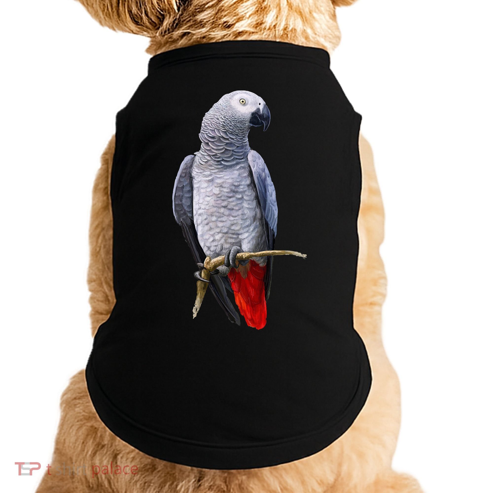 Beautiful African Grey Parrot Doggie Tank