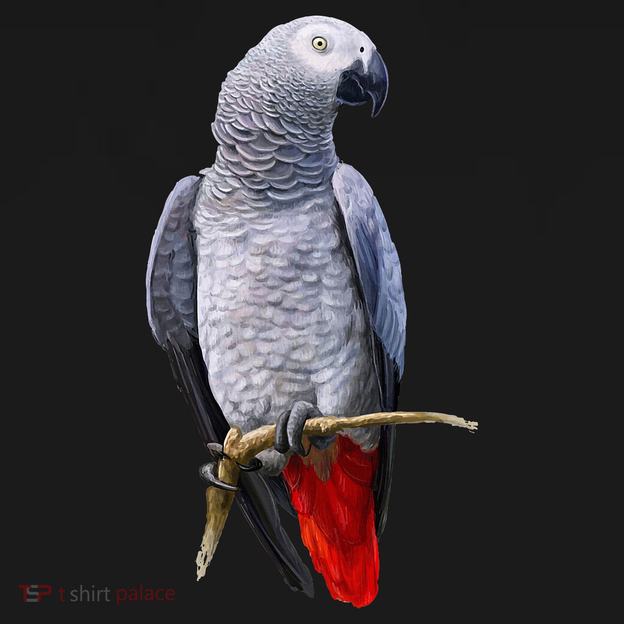 Beautiful African Grey Parrot Doggie Tank