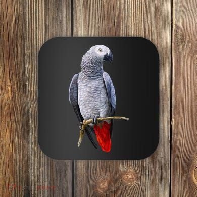 Beautiful African Grey Parrot Coaster