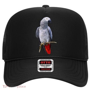 Beautiful African Grey Parrot Hat