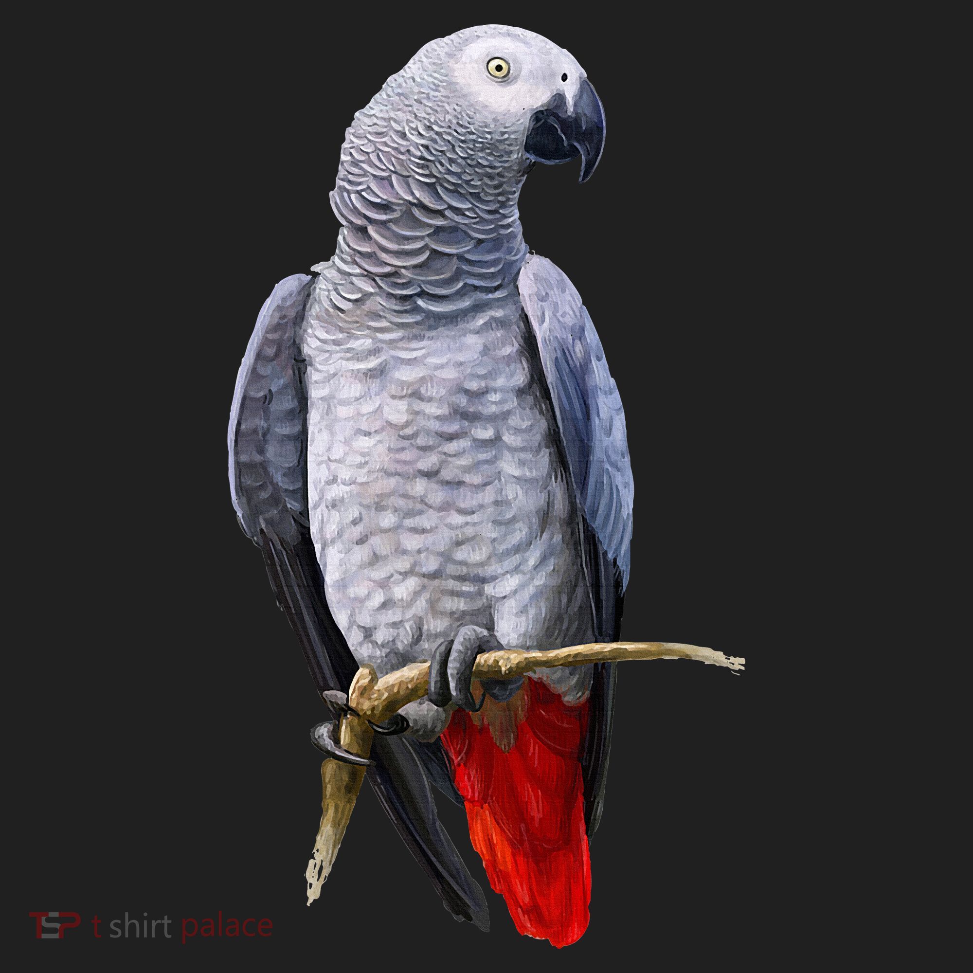 Beautiful African Grey Parrot Hat
