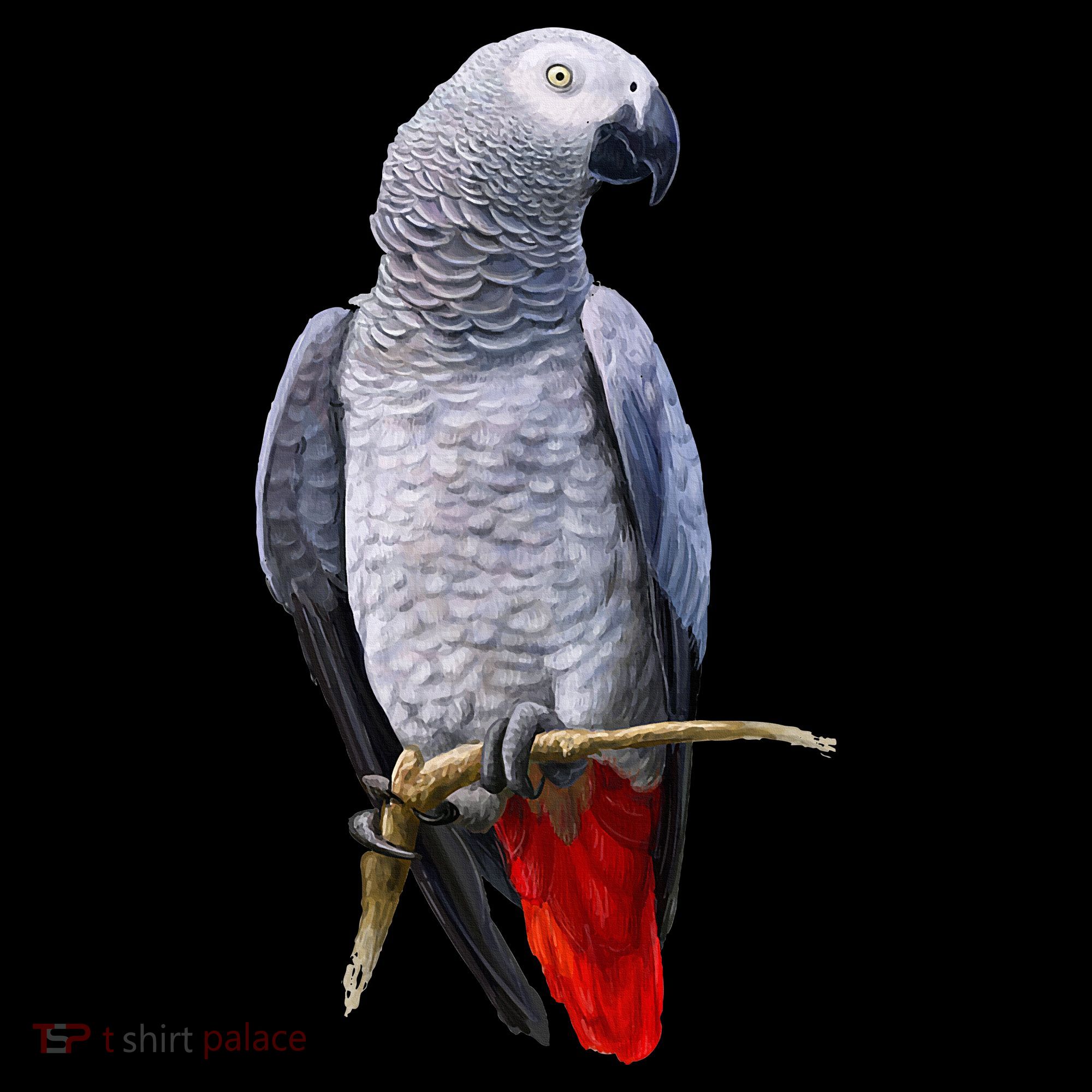 Beautiful African Grey Parrot Tank Top
