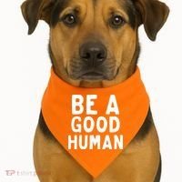 Be A Good Human USA-Made Doggie Bandana thumb 1