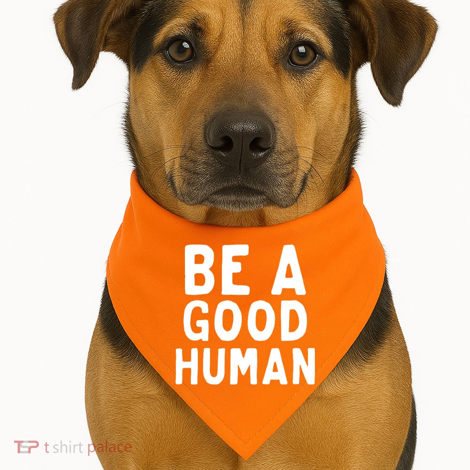 Be A Good Human USA-Made Doggie Bandana