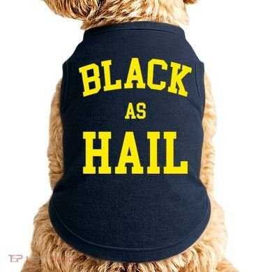 Black As Hail Yellow College Logo Doggie Tank