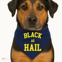 Black As Hail Yellow College Logo USA-Made Doggie Bandana thumb 1