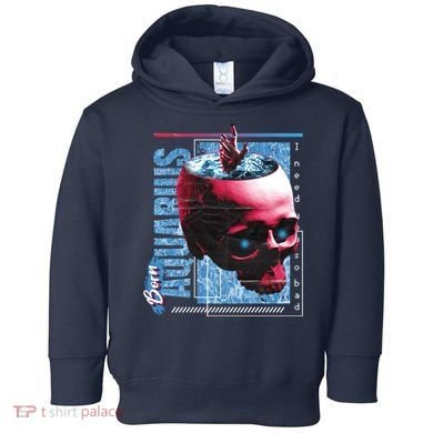 Born Aquarius Horoscope Toddler Hoodie