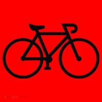 Bicycle American Lady In Pakistan Santa Hat thumb 1