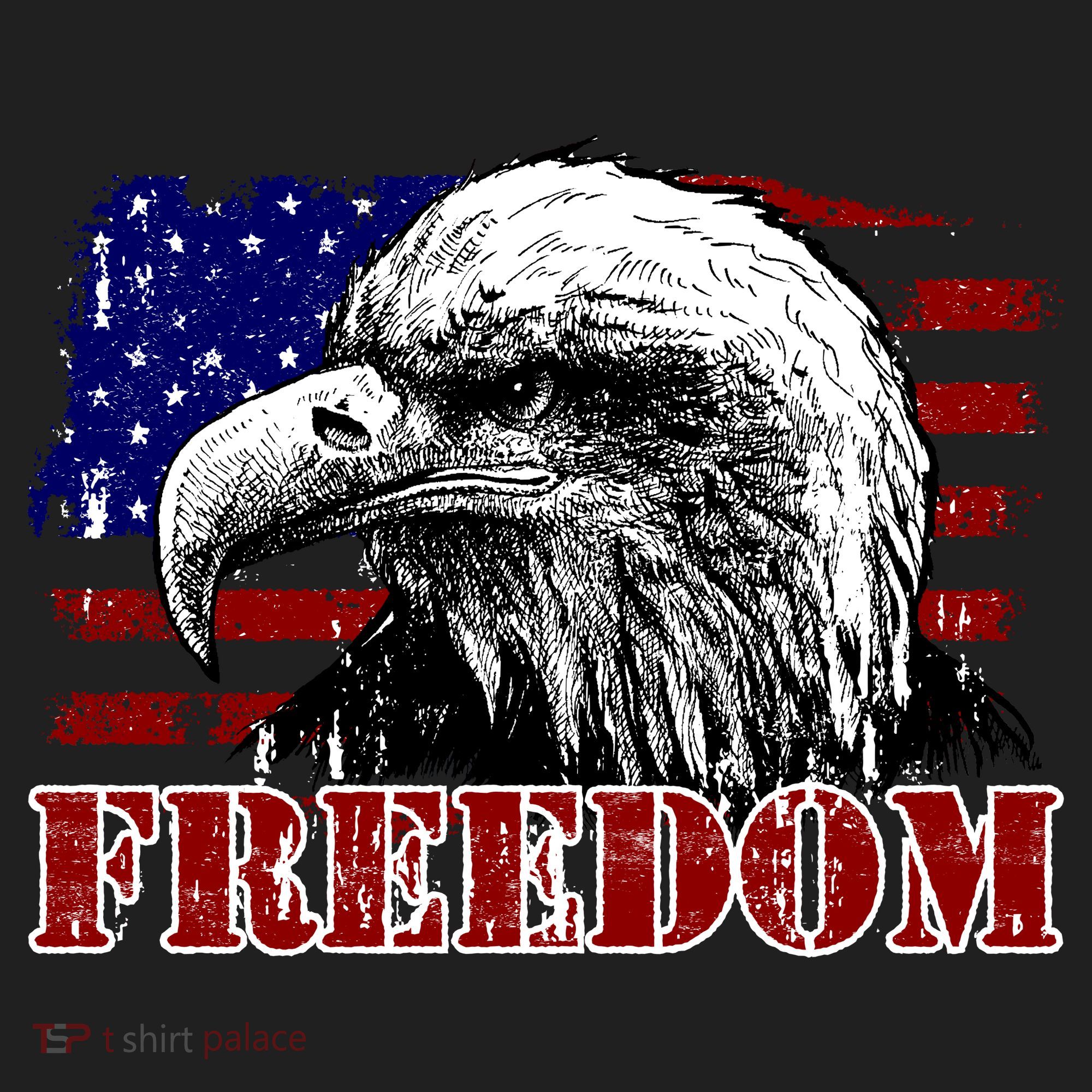 Bald Eagle Distressed USA Flag Freedom 4th of July Women's Sweatshirt