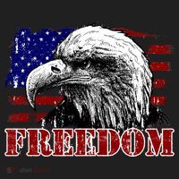 Bald Eagle Distressed USA Flag Freedom 4th of July Beanie thumb 2