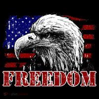 Bald Eagle Distressed USA Flag Freedom 4th of July Toddler Hoodie thumb 2