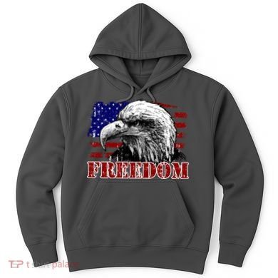 Bald Eagle Distressed USA Flag Freedom 4th of July Hoodie
