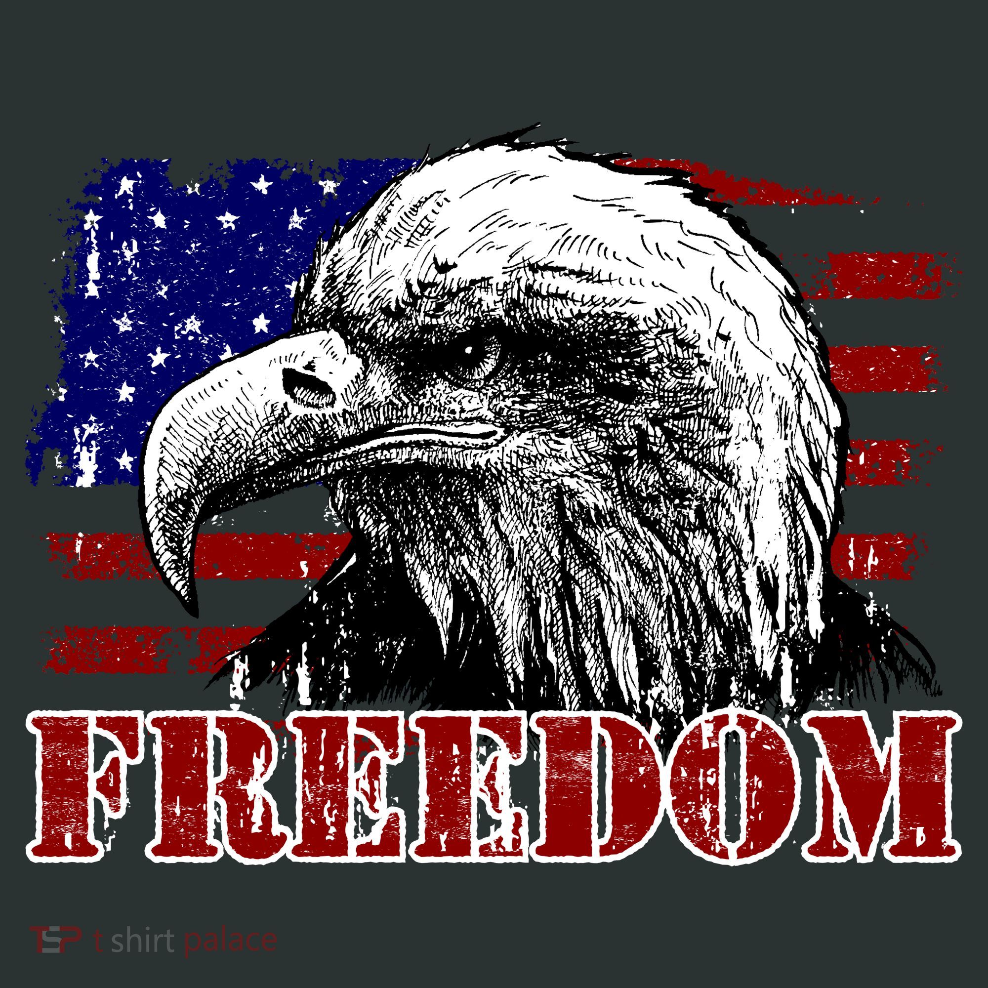 Bald Eagle Distressed USA Flag Freedom 4th of July Long Sleeve Shirt