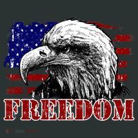 Bald Eagle Distressed USA Flag Freedom 4th of July T-Shirt thumb 7