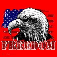 Bald Eagle Distressed USA Flag Freedom 4th of July Santa Hat thumb 1