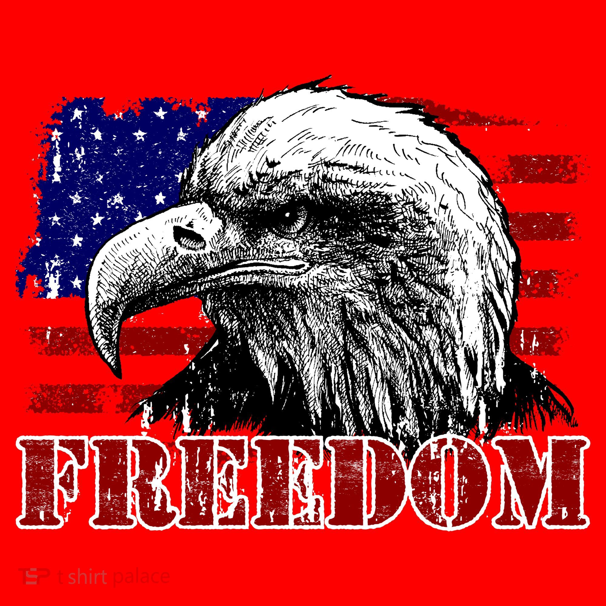 Bald Eagle Distressed USA Flag Freedom 4th of July Santa Hat