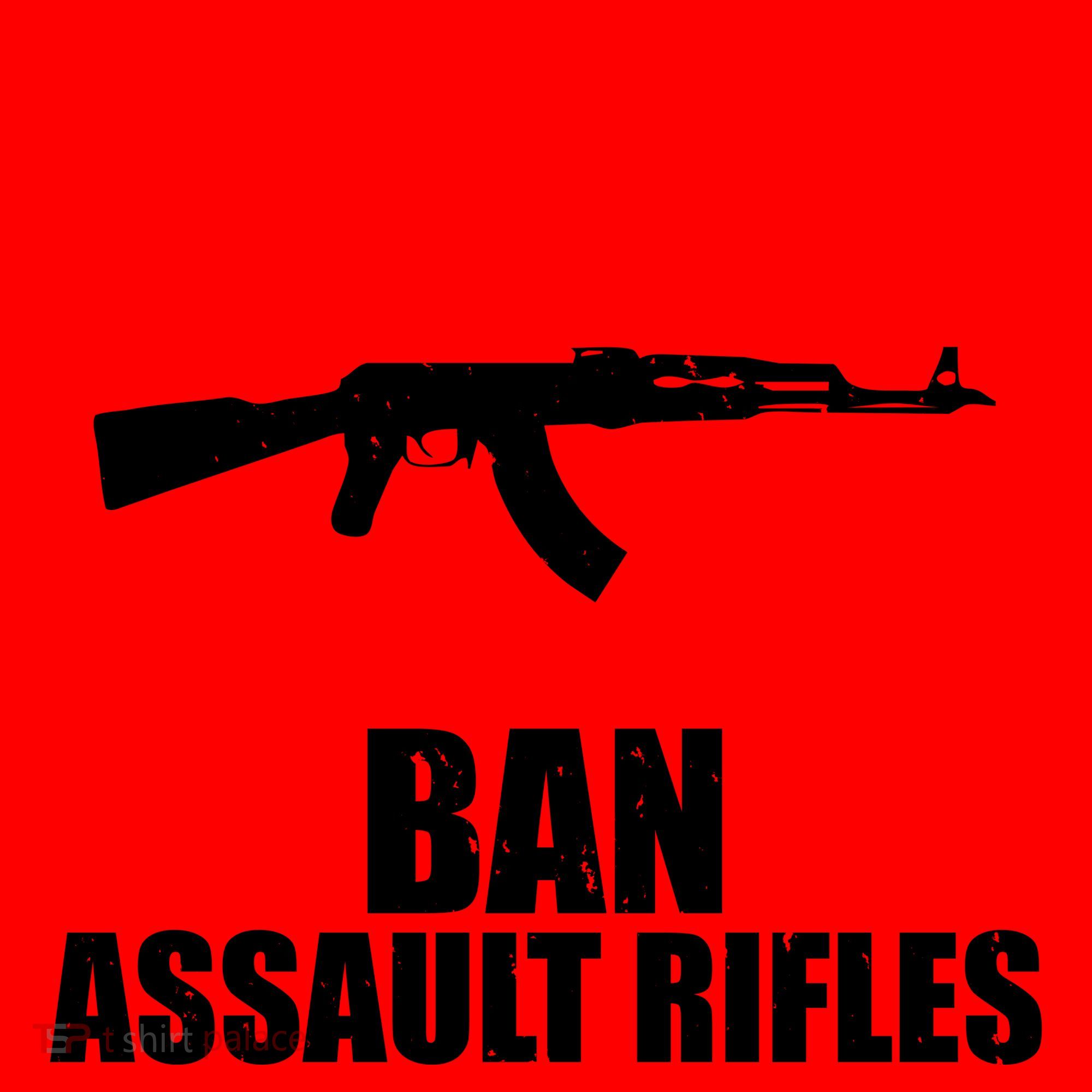 Ban Assault Rifles Gun Control Santa Hat